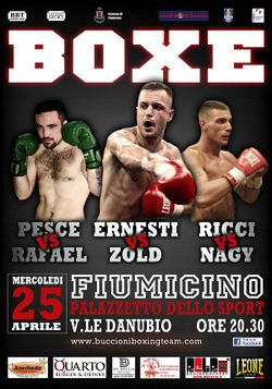 2012-04-25 - Manuel Ernesti vs. Ferenc Zold (Poster).jpg