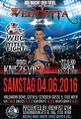 2016-06-04 admiral dome poster.jpg