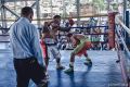 2018-08-06 - Franklin Gonzalez vs Vicente Mirabal - Fight-7.jpg