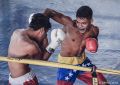 2018-08-06 - Joneykert Pena vs Enderson Meneses - Fight-1.jpg