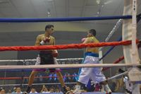 File:2246398c.jpg