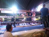 File:2267637.jpg