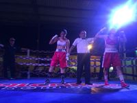 File:2280493.jpg