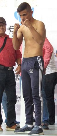 File:2365909a.jpg