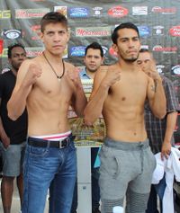 File:2392858.jpg