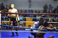 File:2398452.jpg
