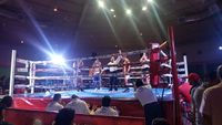 File:2405653.jpg