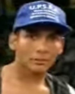 350663.jpg