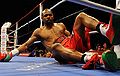 382747-roy-jones-jr-danny-green-fight.jpg