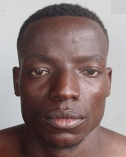 441768.jpg