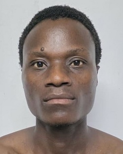 464856.jpg