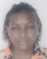 Thumbnail for version as of 19:08, 21 February 2026