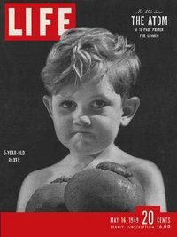 File:5-Year-old Boxer.jpg