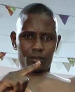 531547.jpg