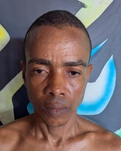 629802.jpg