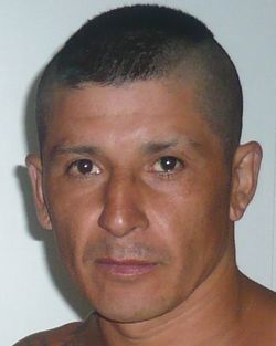 781082.jpg
