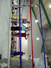 File:781300g.jpg