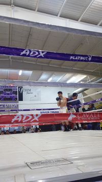 File:784828d.jpg