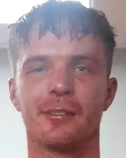 785983.jpg