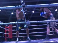 File:790691q.jpeg