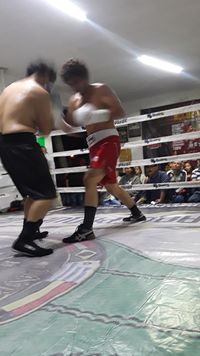 File:791533f.jpg