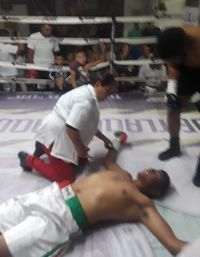 File:795463.jpg