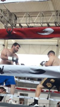File:801300g.jpg