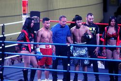804131j.jpg