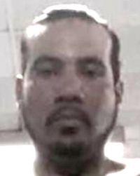 File:809150.jpg