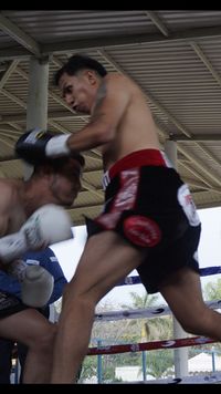 File:815551am.jpg