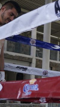 File:815551aq.jpg