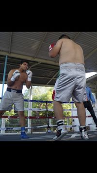 File:815551j.jpg