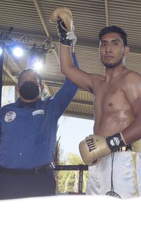File:816474ap.jpg