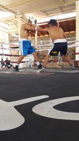 823027ab.jpg