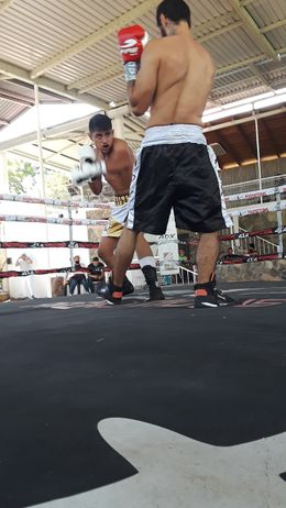 823027ap.jpg