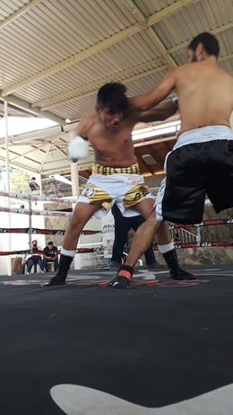 823027aq.jpg
