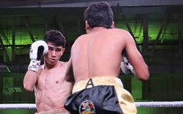 823114g.jpg