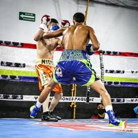 File:823796d.jpg