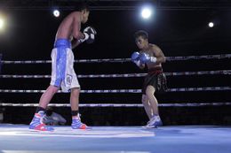 838070ab.jpg