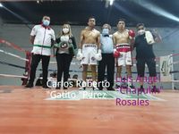 File:839088e.jpeg
