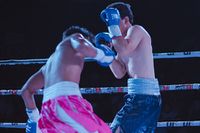 File:841059t.jpg