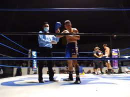 842810d.jpg