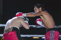 File:844131a.jpg