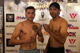 844132az.jpg