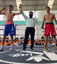 File:844518x.jpg