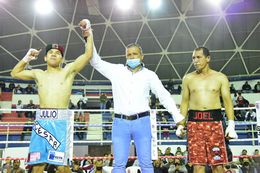 846387u.jpg