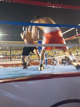 850671i.jpg