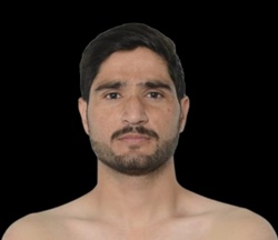 871833.jpg