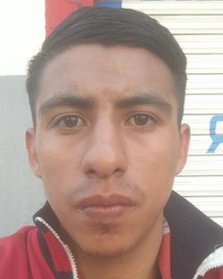 890880.jpg