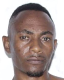904884.jpeg